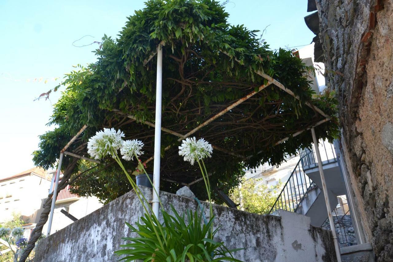 Casa Da Ponte Do Arrocho Villa Loriga Buitenkant foto